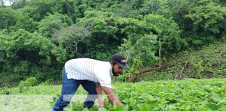 Ticuantepe y Managua con gran expectativa