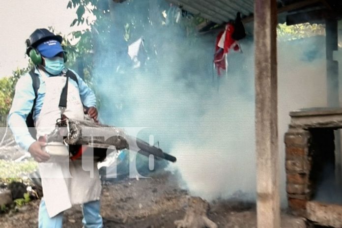 Foto: Familias de Jalapa se unen a la lucha contra el dengue/TN8