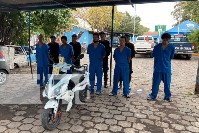 Foto: Operativos de la Policía Nacional incauta fuerte cantidad de drogas/TN8