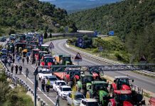 Foto: Agricultores paralizan frontera /cortesía