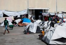 Masivos desplazamientos en Haití aumentan a un 60% Foto: Violencia en Haití /cortesía