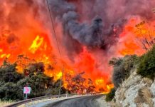 Devastadores incendios en Turquía dejan once muertos y decenas de heridos Foto: Incendios en Turquía /cortesía