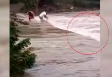 ¡Se los llevó la corriente! Tormenta en Guatemala arrastra a tres personas Foto: Tormenta en Guatemala /cortesía