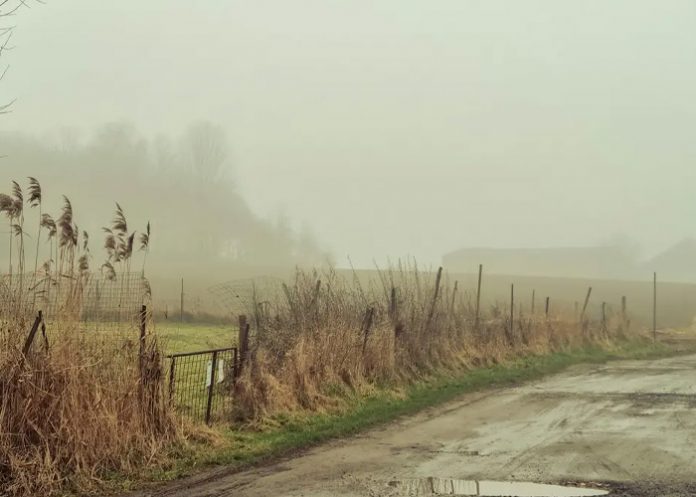 Padre tapa los baches de las calles en memoria de su hijo