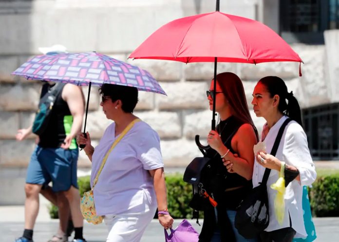 Foto: Calor extremo en México /cortesía