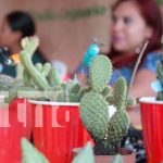 Foto: Innovación y creatividad destacan en Festival de Emprendedores en Madriz/TN8