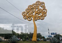 Nicaragua se ilumina con nuevos árboles de la vida Foto: ¡Managua brilla! ENATREL inaugura 16 nuevos Árboles de la Vida en la Capital/TN8