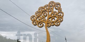 Foto: ¡Managua brilla! ENATREL inaugura 16 nuevos Árboles de la Vida en la Capital/TN8