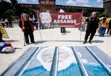 Foto.Reacciones globales a la liberación de Julian Assange/ Cortesía