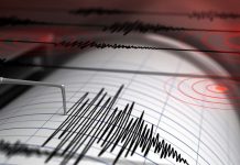 Fuerte sismo de 4,8 sacude la ciudad de Manisa en Türkiye Foto: Sismo en Türkiye /cortesía