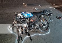 Foto: Motociclista entre la vida y la muerte tras chocar contra una camioneta en Carretera Norte/TN8