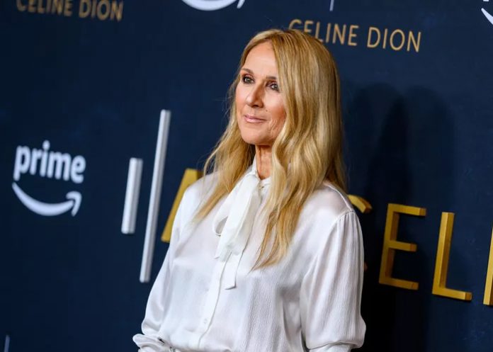 Foto: Celine Dion en crisis /cortesía Foto: Celine Dion en crisis /cortesía
