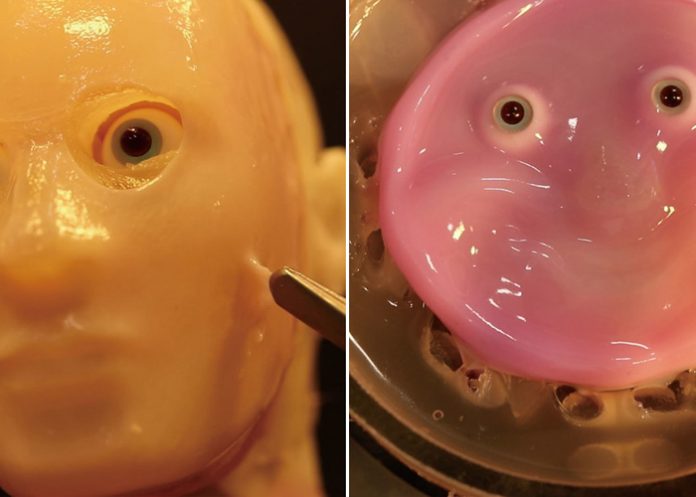 Foto: Robots con piel viva /cortesía Foto: Robots con piel viva /cortesía