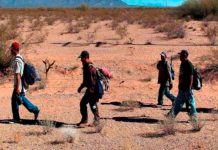 Migrantes varados entre México y Estados Unidos mueren por ola de calor Foto: Migrantes varados entre México y Estados Unidos mueren por ola de calor / Cortesía