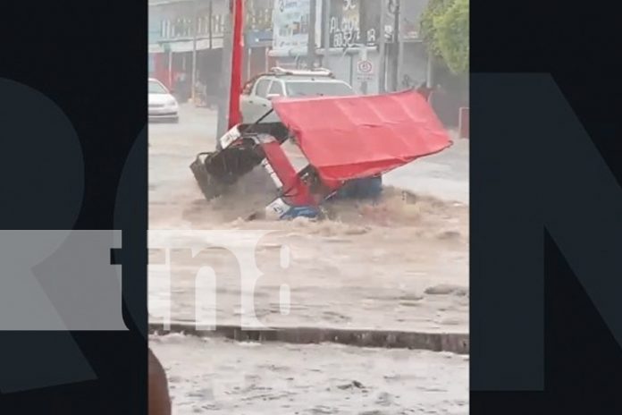 2 Foto: Caponero se salva de ser arrastrado por fuerte lluvia en Linda Vista / TN8
