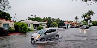 Torrenciales lluvias paralizan Florida 
