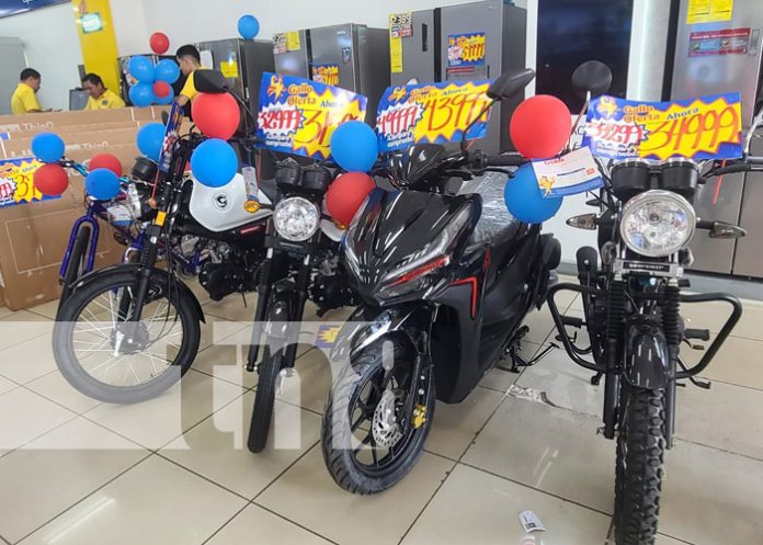 2 Foto: El Gallo más Gallo celebra a Papá con grandes descuentos en todas sus sucursales/TN8