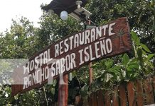 ¡Un viaje al paraíso terrenal de la Isla de Ometepe! El regalo ideal para Papá Foto: ¡Un viaje al paraíso terrenal de la Isla de Ometepe! El regalo ideal para Papá/TN8