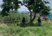 Macabro: Encuentran 17 cuerpos en fosa clandestina en México Foto: Encuentran 17 cuerpos en fosa clandestina en México /Cortesía