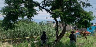 Foto: Encuentran 17 cuerpos en fosa clandestina en México /Cortesía