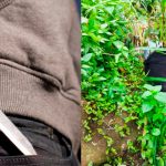 Foto: Horror en Colombia /cortesía