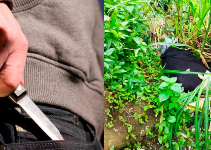 Foto: Horror en Colombia /cortesía