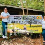 Foto: Alcaldía de Matiguás realizó el lanzamiento del "Vivero de Mi Pueblo" / TN8