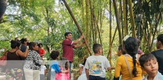 Foto: INAFOR fortalece conocimientos de los niños /TN8