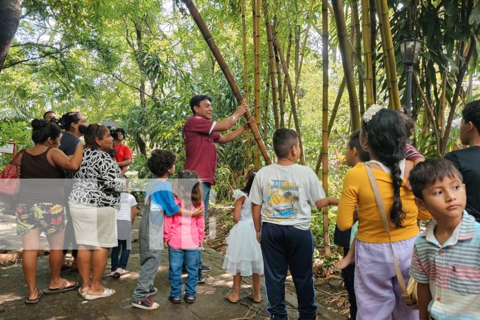 Foto: INAFOR fortalece conocimientos de los niños /TN8 Foto: INAFOR fortalece conocimientos de los niños /TN8