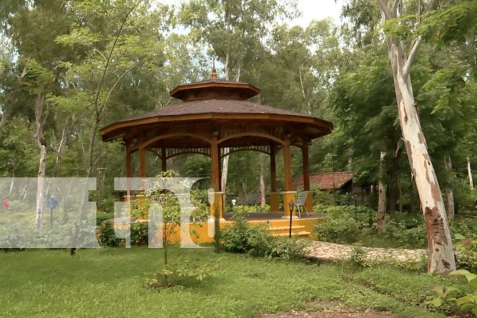 Foto: San Rafael del Sur celebra avances en infraestructura y recreación/TN8