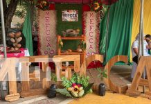 ¡Innovación y Tradición! Chinandega celebra el Festival del Chocolate con gran éxito Foto: ¡Innovación y Tradición! Chinandega celebra el Festival del Chocolate con gran éxito/TN8