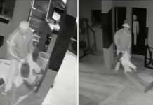 Atroz: Mujer recibe brutal paliza a manos de su expareja en Argentina Foto: Mujer recibe brutal paliza a manos de su ex en Argentina /Cortesía
