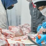 Foto: Nicaragua incrementa producción de carne /cortesía