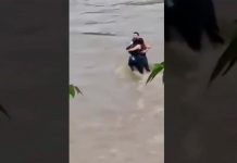 Foto: Trágica muerte de jóvenes /cortesía