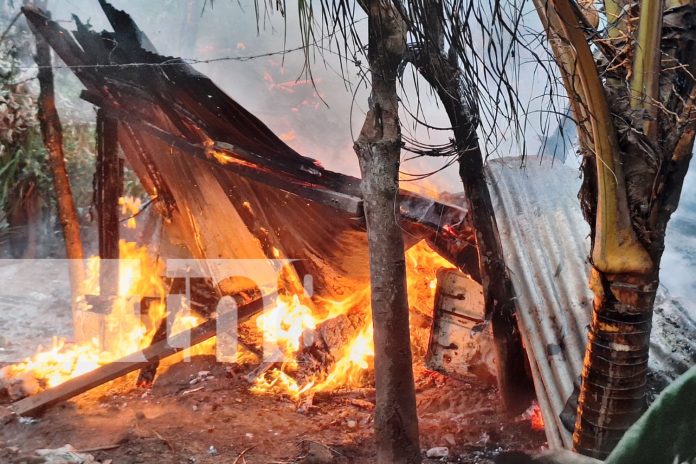 Foto: Incendio devasta vivienda en Río Blanco: Familia escapa a tiempo del siniestro/TN8