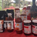 MEFCCA presenta actualización del mapa interactivo de producción apícola en Managua Foto: MEFCCA presenta actualización del mapa interactivo de producción apícola/ TN8