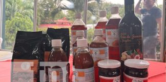 Foto: MEFCCA presenta actualización del mapa interactivo de producción apícola/ TN8