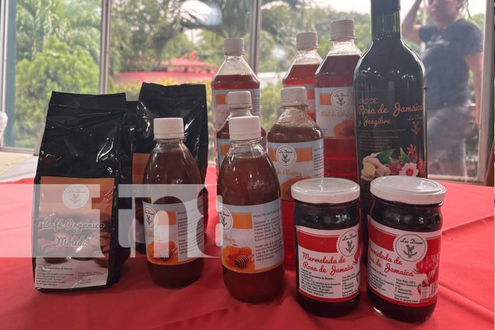 Foto: MEFCCA presenta actualización del mapa interactivo de producción apícola/ TN8