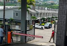 Nicaragüense es violentamente asesinado por su vecino en Costa Rica Foto: Costa Rica en shock /cortesía