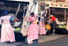Otro nivel: Recolectores de basura trabajan vestidos de princesas (VIDEO) Foto: Virales por trabajar vestidos de princesas /Cortesía