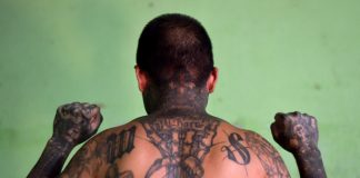 Foto: "El Greñas" enfrentará cargos por terrorismo /Cortesía