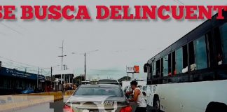Foto: Delincuente es captado haciendo de las suyas en Managua /TN8