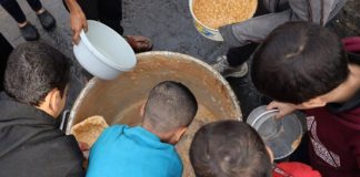 Foto: Colombia acogerá a niños palestinos /Cortesía