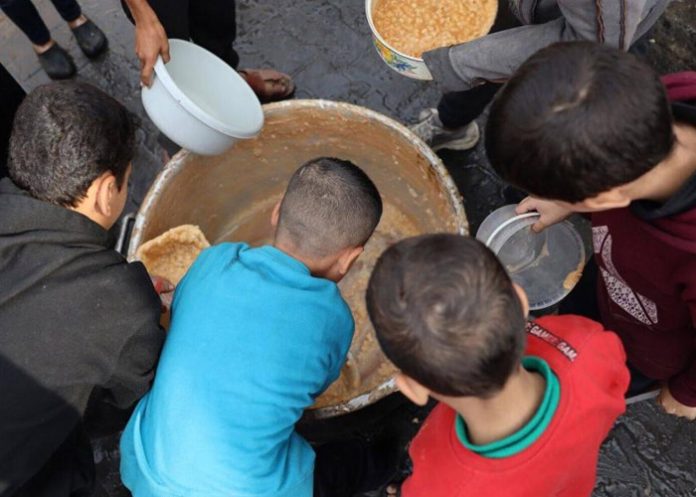 Foto: Colombia acogerá a niños palestinos /Cortesía Foto: Colombia acogerá a niños palestinos /Cortesía