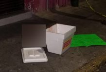 Terrorífico: Dejan cabeza humana en una hielera en plena calle de México Foto: Abandonan cabeza humana en una hielera en México /Cortesía