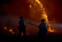 Lamentable tragedia: incendio en hospital de Irán deja nueve víctimas Foto: Nueve muertos en un incendio en un hospital de Irán /Cortesía