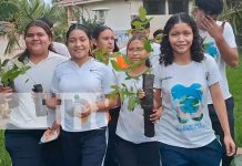 «Verde que te quiero verde» Medio millón de árboles se plantarán en Carazo Foto: "Verde que te quiero verde" Medio millón de árboles serán plantados en Carazo/TN8