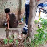 Subió a un árbol a robar mangos y cayó, resultando con lesiones en Juigalpa Foto: Subió a un árbol a robar mangos y cayó, resultando con lesiones en Juigalpa / TN8