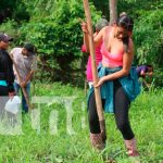 Siembran árboles frutales en sistemas agroforestal de INATEC en Siuna Foto: Siembran árboles frutales en sistemas Agroforestal de INATEC en Siuna/ TN8