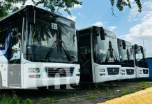 Foto: Llega a Nicaragua la cuarta flota de buses chinos para modernizar el transporte urbano/TN8